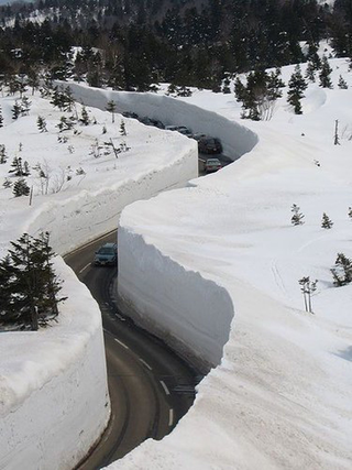 Illustration for article titled New York Looks Like Snow Zombieland—But It's Nothing Compared to Japan